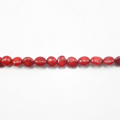 Bambu do mar, tom vermelho, barroco, 8 mm x 40 cm