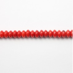 Bambú de mar teñido de rojo en redondo 2x4mm x 40cm