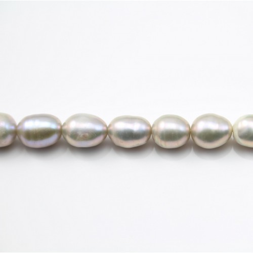 Perle coltivate d'acqua dolce, grigio, oliva, 5,5-6,5 mm x 38 cm