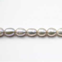 Perles de culture d'eau douce, gris, olive, 5.5-6.5mm x 38cm
