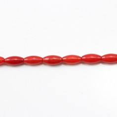 Bambú marino, tinte rojo, barril, 3x6mm x 40cm
