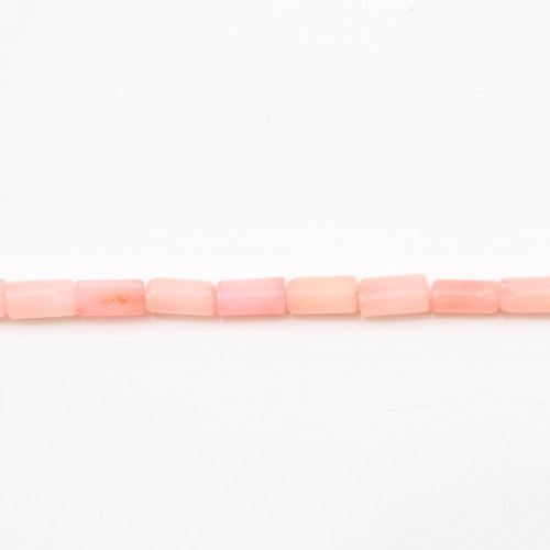 Sea Bamboo Colored pale rose Tube 2x4mm x 40cm 