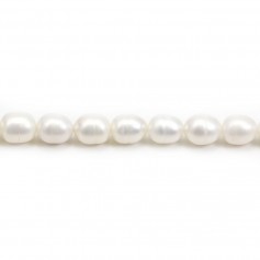 Perlas cultivadas de agua dulce, blancas, oliva, 7-8mm x 38cm