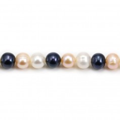 Perles de culture d'eau douce, multicolore, semi-ronde 7-8mm x 40cm