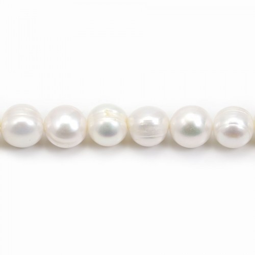 Perlas cultivadas de agua dulce, blancas, ovaladas/regulares, 12-13mm x 40cm