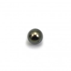 Tahitian cultured pearl, round, 8.5-9mm B x 1pc