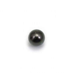 Perle de culture de Tahiti, ronde, 10-11mm, B x 1pc