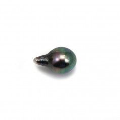 Perle de culture de Tahiti, goutte 9-10mm x 1pc