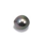 Perle de culture de Tahiti de forme half-ronde 12-13mm x 1pc