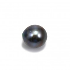 Perla cultivada de Tahití, semirredonda, 13-14mm x 1pc