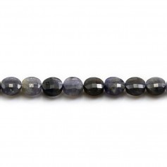 Cordiérite (Iolite) in round flat faceted shaped 6mm x 39cm