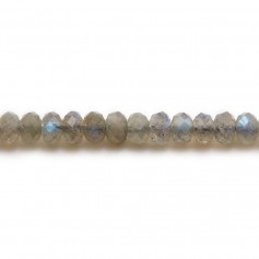 Labradorite, forma redonda facetada, 4 * 6 mm x 8pcs