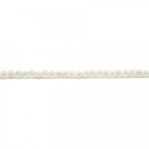 Madreperla bianca rotonda 2 mm x 39 cm