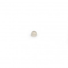 Cabochon grey agate, in round shape, 2mm x 10 pcs