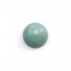 Cabochon of amazonite, in round shape, 14mm x 2pcs