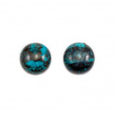 Cabochon Chrysocolle, forme ronde 12mm x 1pc