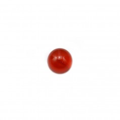 Cabochon agate rouge ronde 6mm x 5pcs