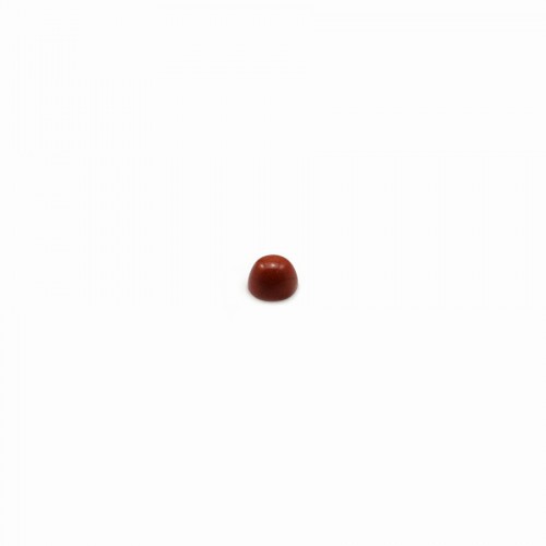Cabujón de jaspe rojo, forma redonda, 2mm x 4pcs