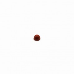 Diaspro rosso cabochon, forma rotonda, 2 mm x 4 pezzi
