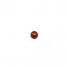 Cabochon de jaspe rouge, de forme ronde, 3mm x 4pcs