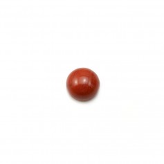 Cabujón de jaspe rojo, forma redonda, 6mm x 4pcs