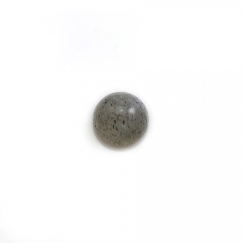 Labradorit-Cabochon in runder Form 6mm x 2pcs