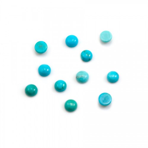 Cabochon Turquoise round 5mm x 1pc