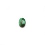 Cabochon of oval-shaped turquoise, 4.5 * 6.5mm, x 1pc