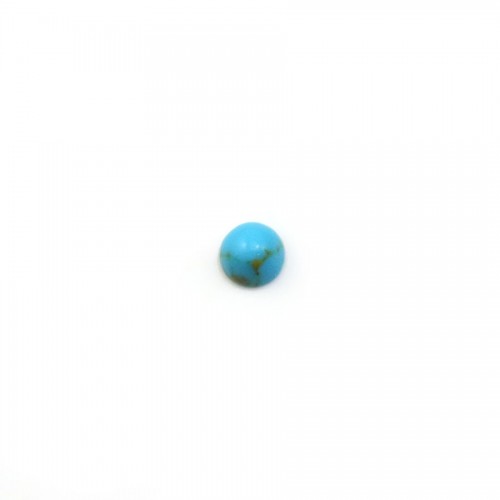 Blauer Cabochon aus rekonstituiertem Türkis rund, 3mm x 5pcs