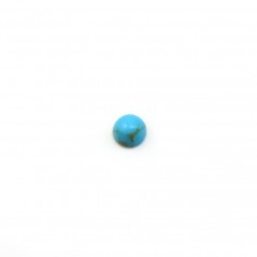 Blauer Cabochon aus rekonstituiertem Türkis rund, 3mm x 5pcs