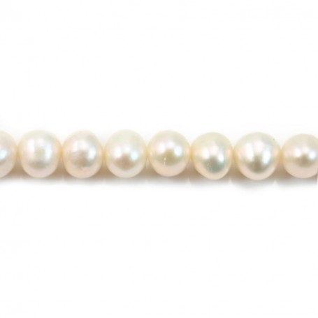 White round freshwater pearl 7-8mm x 15pcs
