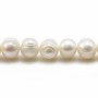 Perles de culture d'eau douce, blanche, ronde/irrégulière, 9-10mm x 36cm
