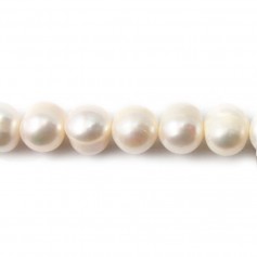 Perles de culture d'eau douce, blanche, ovale, 10-11mm x 39cm