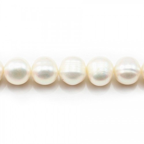 Perles d'eau Douce Blanc 10-12mm x 2pcs