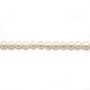 Perlas cultivadas de agua dulce, blancas, semirredondas, 4-4,5mm x 38cm