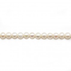 Perles de culture d'eau douce, blanche, semi-ronde, 4-4.5mm x 38cm