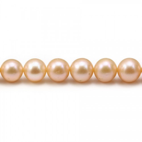 Freshwater cultured pearls, salmon, round, 8-8.5mm x 1pc