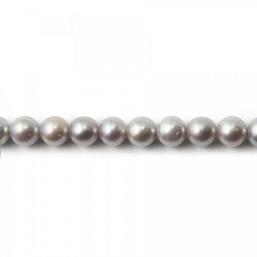 Perle coltivate d'acqua dolce, grigie, semitonde, 5,5-6,5 mm x 38 cm
