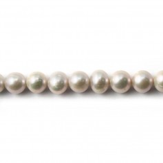 Perles de culture d'eau douce, gris, ovale, 6-7mm x 39cm