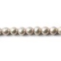 Perles d'eau Douce Rond Grise 7mm x 40 cm