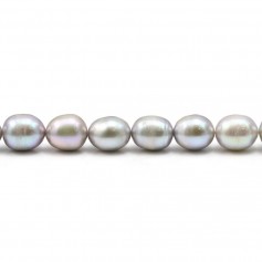 Perles de culture d'eau douce, gris, olive, 6-7mm x 36cm