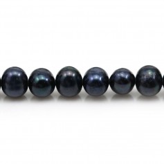 Perles de culture d'eau douce, bleue foncée, semi-ronde, 8-9mm x 6pcs