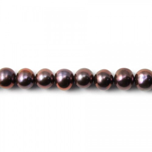 Dark purplish oval freshwater pearls 4.5*6mm x 40cm