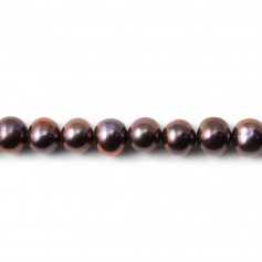 Dark purplish round freshwater cultured pearls 6mm x 4pcs