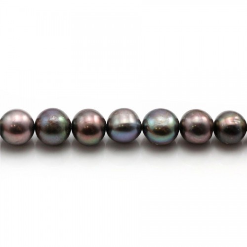 Perlas cultivadas de agua dulce, azul oscuro, redondas, 8-9mm x 2pcs