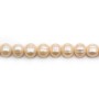 Perle coltivate d'acqua dolce, salmone, ovali/regolari, 11-12 mm x 40 cm