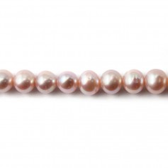 Perlas cultivadas de agua dulce, malva, redondas, 7mm x 38cm
