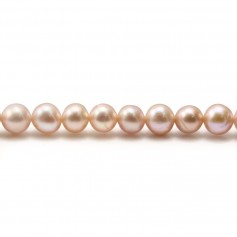 Perle coltivate d'acqua dolce, malva, semitonde, 6 mm x 36 cm