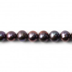 Perle coltivate d'acqua dolce, malva, semirotonde, 7-8 mm x 2 pz