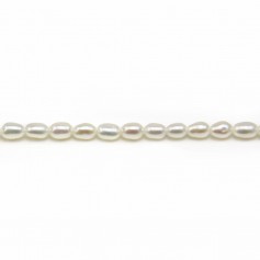 Perles de culture d'eau douce, blanche, olive/irrégulière, 3-3.5mm x 6pcs